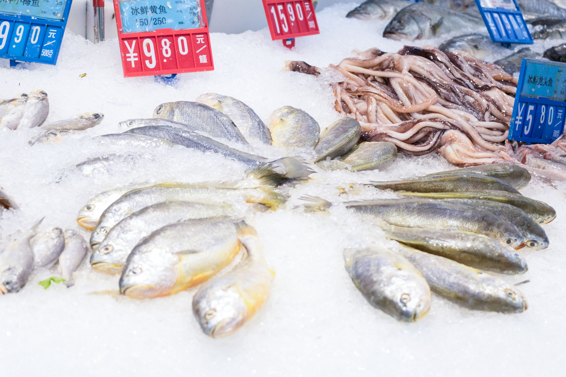 理性看待網(wǎng)紅趕海，注意水產(chǎn)品安全問(wèn)題！