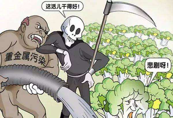 糧食安全如何得到保障？