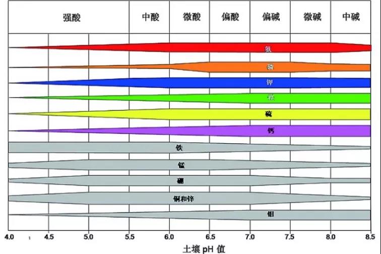 土壤PH速測儀，快速測PH